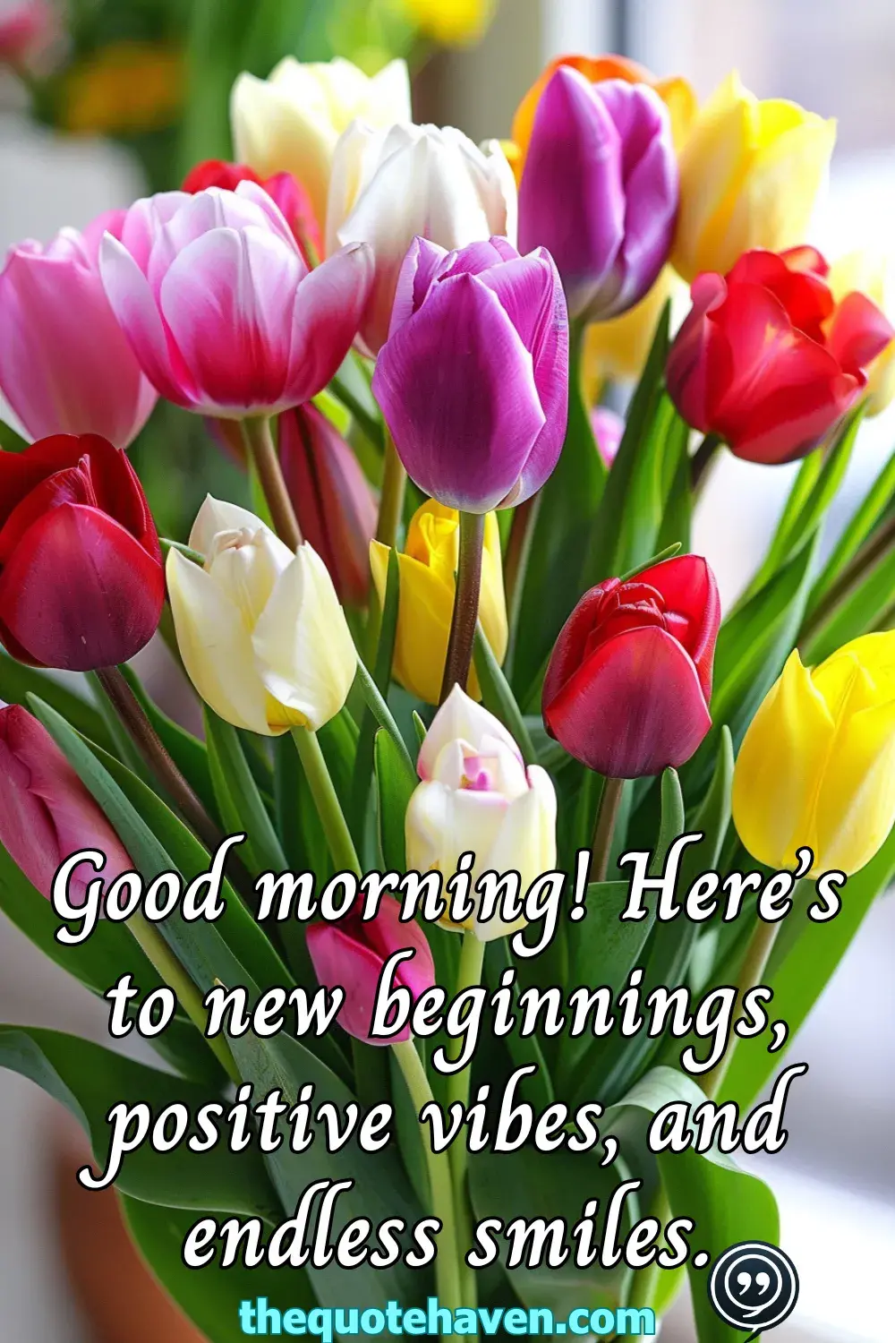  Beautiful Good Morning Wishes