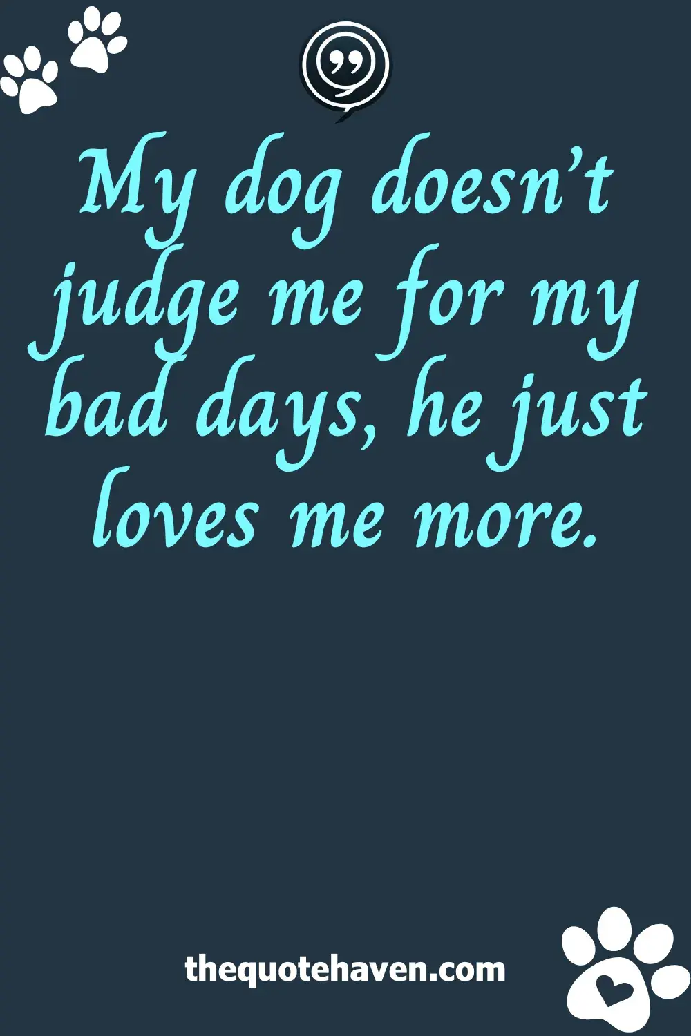  Dog Captions for Instagram.