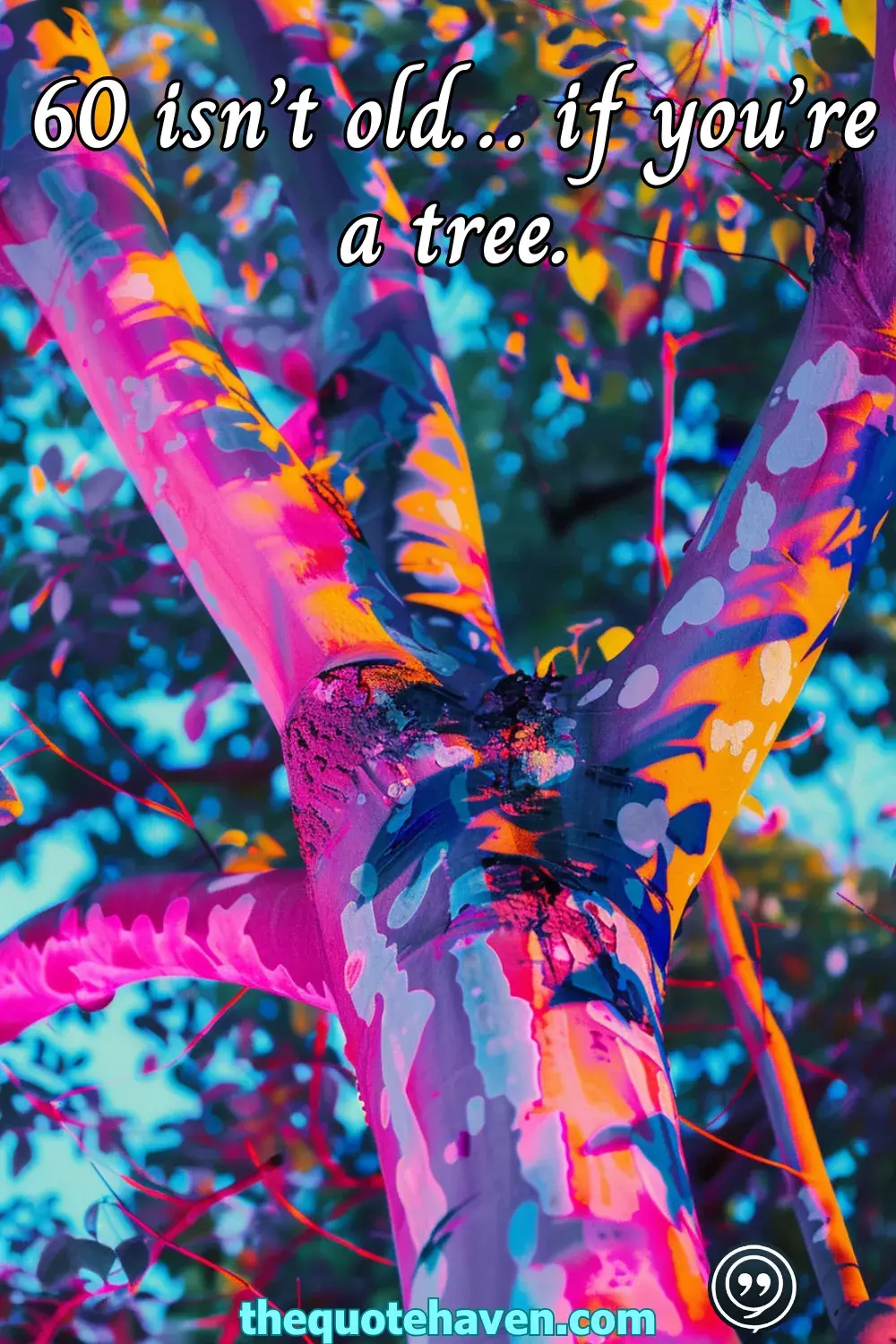  Funny and Touching 60th Birthday Quotes  .