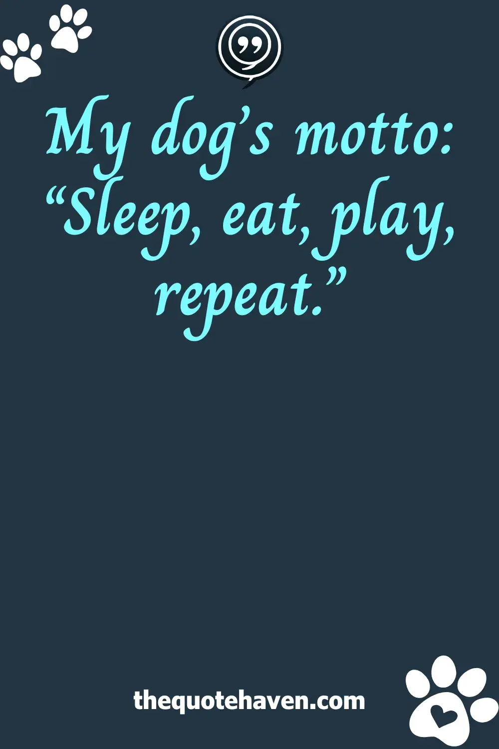 Funny Dog Quotes.