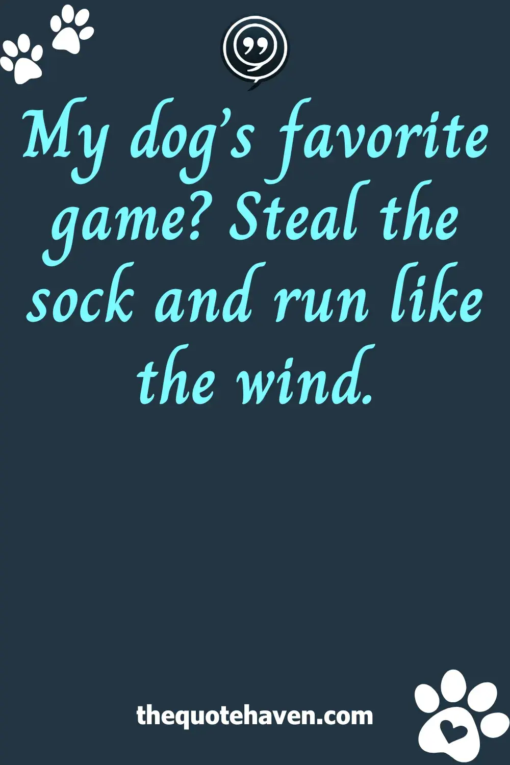  Funny Dog Quotes.