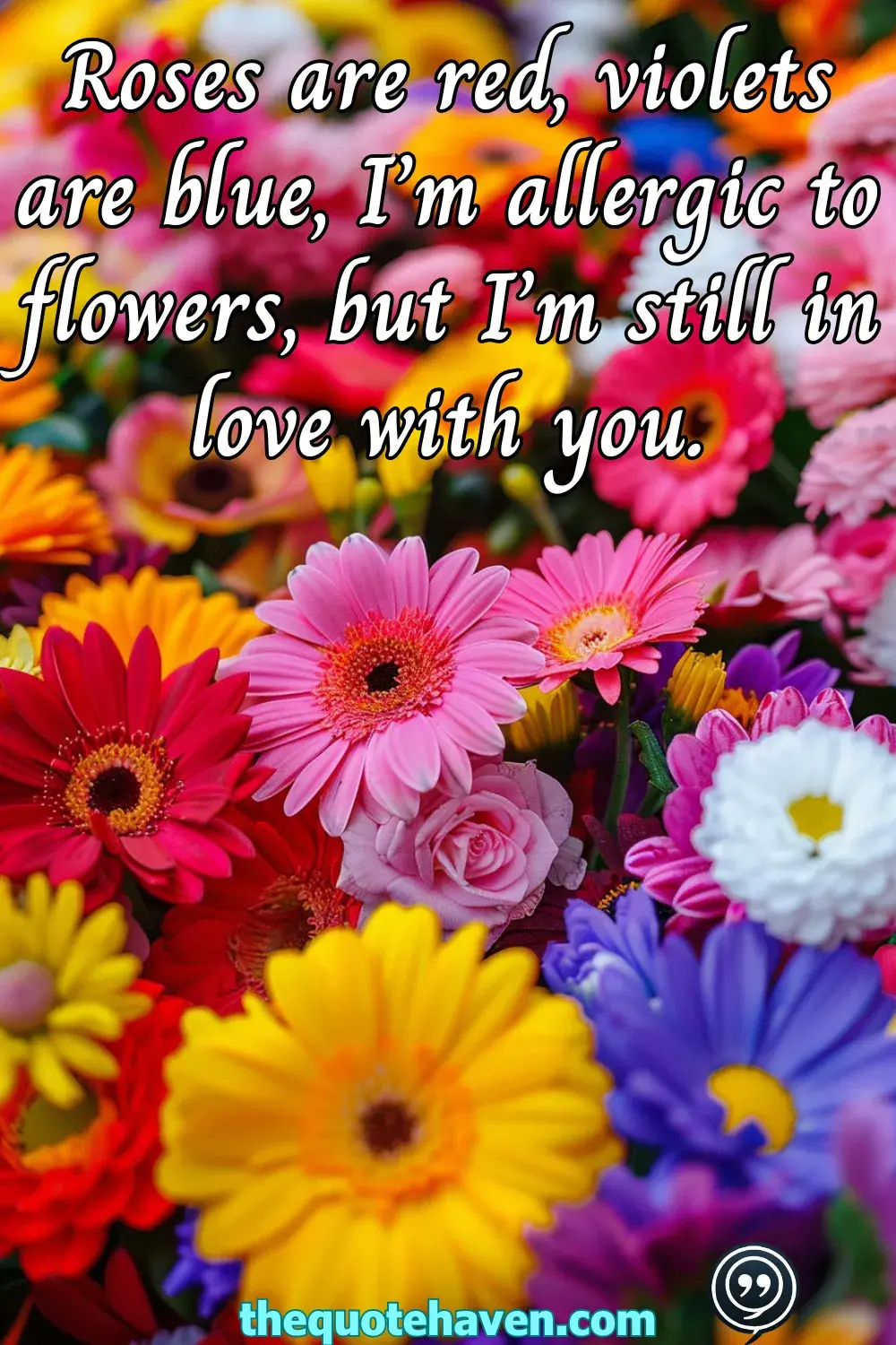  Funny Valentine’s Day Quotes