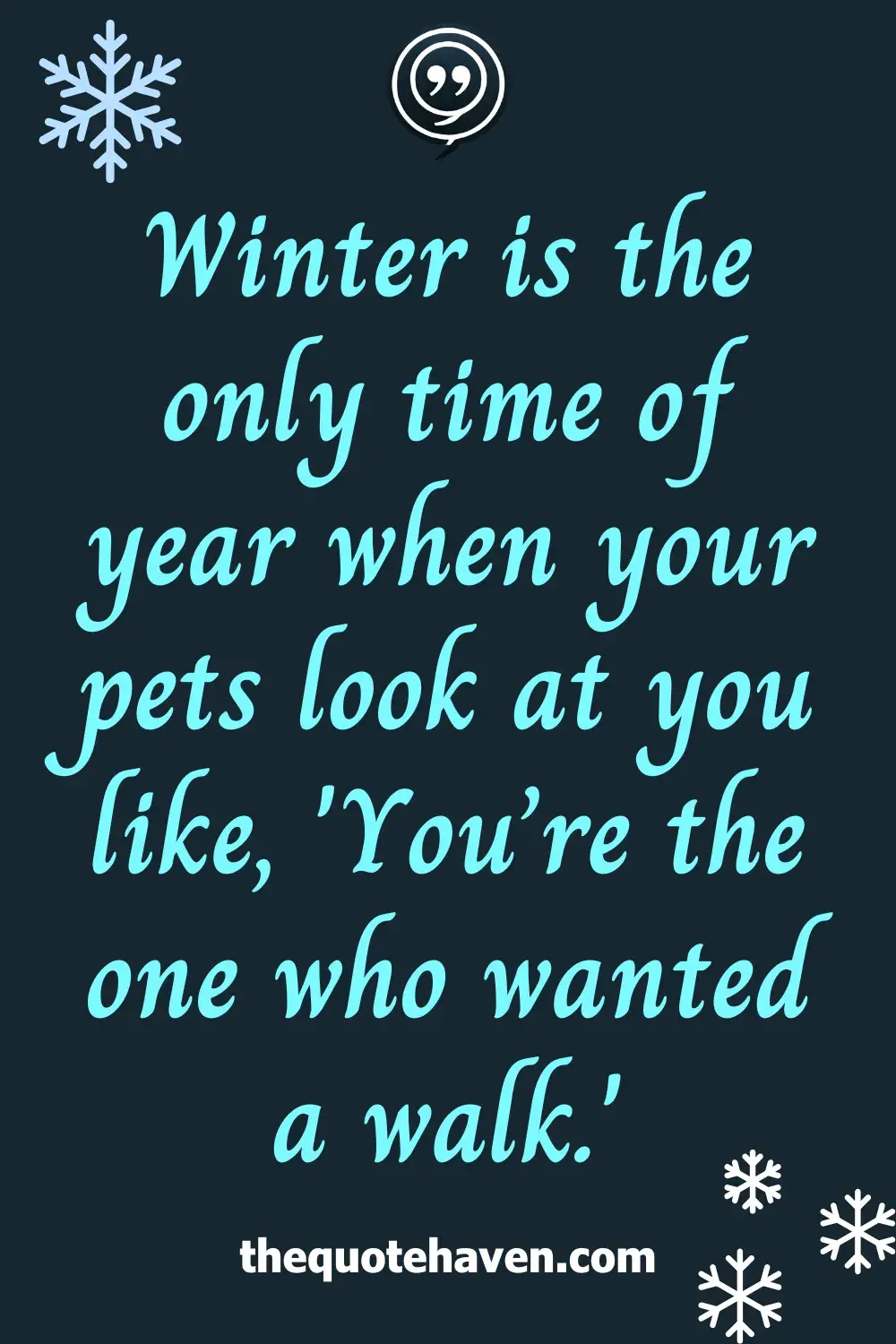Winter is the only time of year when your pets look at you like, 'You’re the one who wanted a walk.'