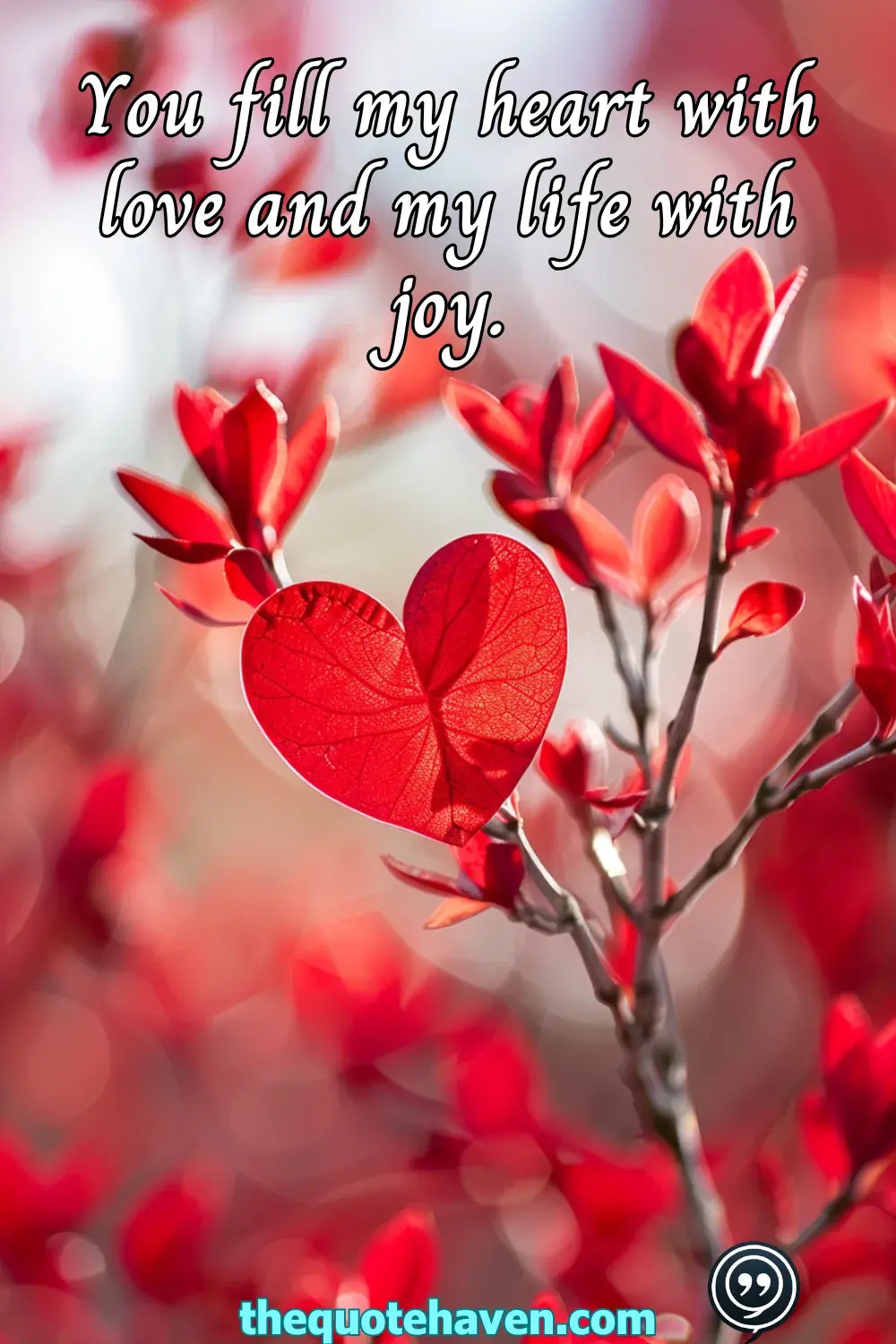  Valentine’s Day Letter Board Quotes